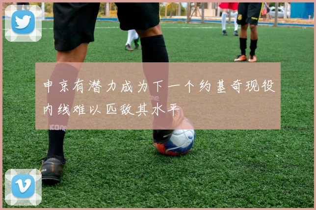 申京有潜力成为下一个约基奇现役内线难以匹敌其水平