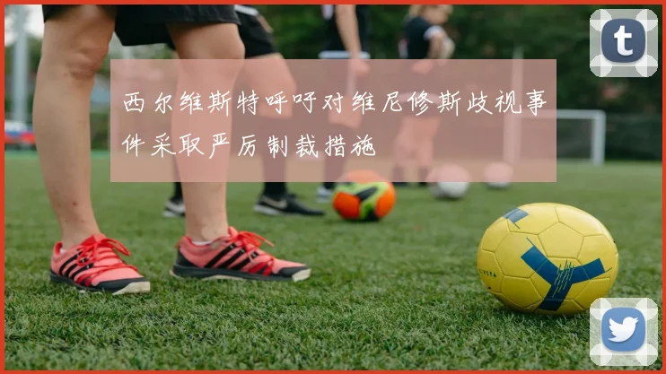西尔维斯特呼吁对维尼修斯歧视事件采取严厉制裁措施